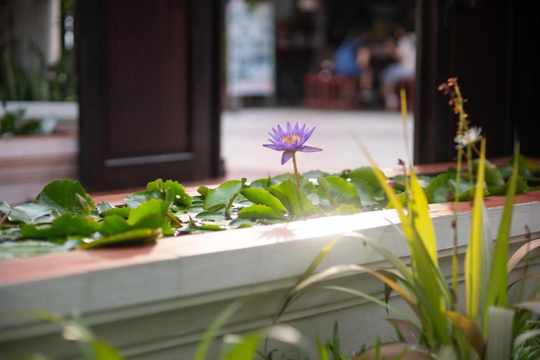 Photo of Others in Luang Prabang