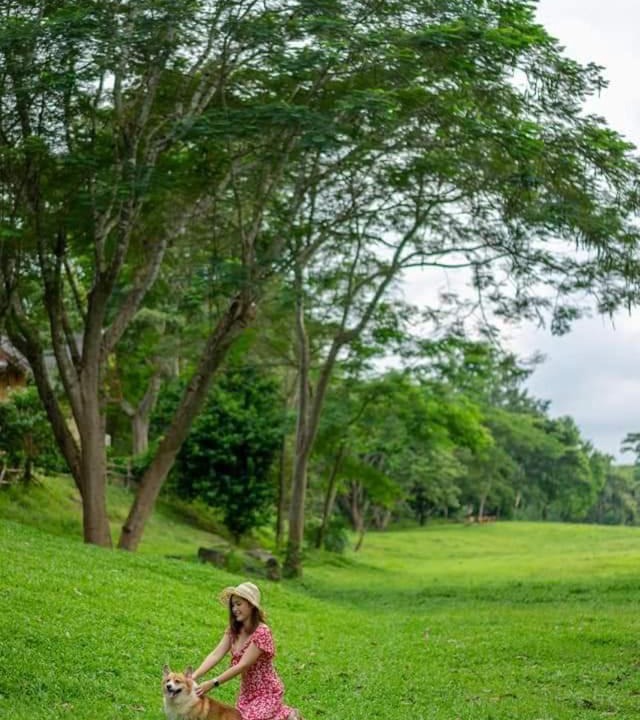 Photo of Others in Don Sak