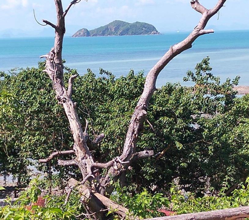 Photo of Others in Ko Phaluai