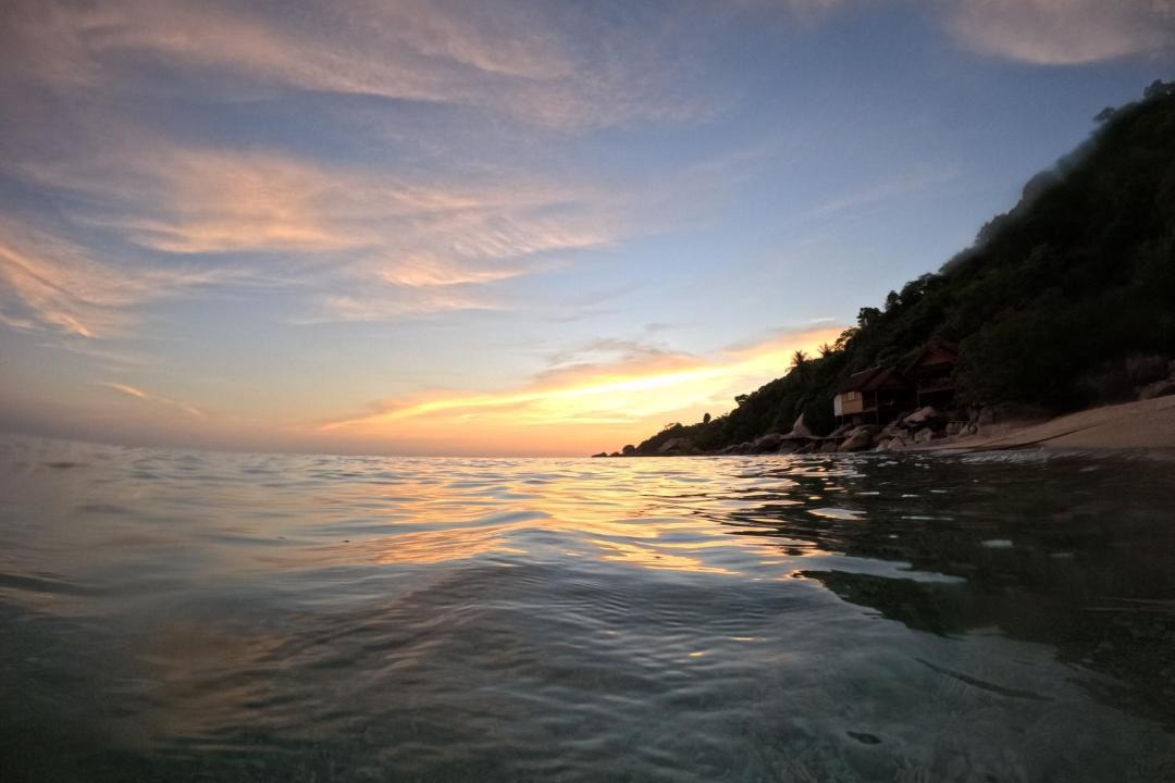 Photo of Others in Koh Tao