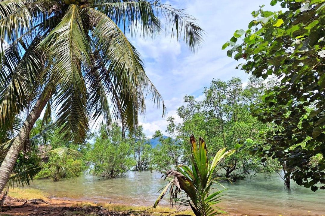 Photo of Others in Ko Yao