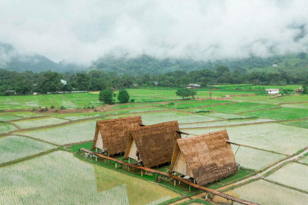 Photo of Others in Ban Ton Lung