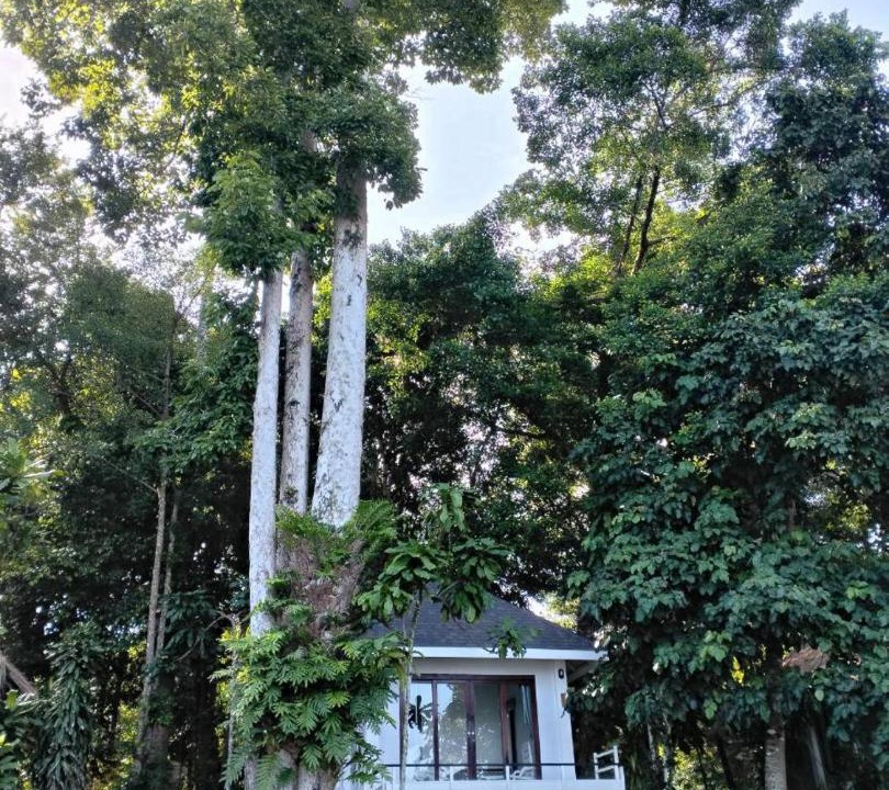 Photo of Others in Ko Mak