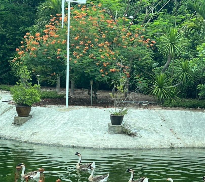 Photo of Others in Ban Hong