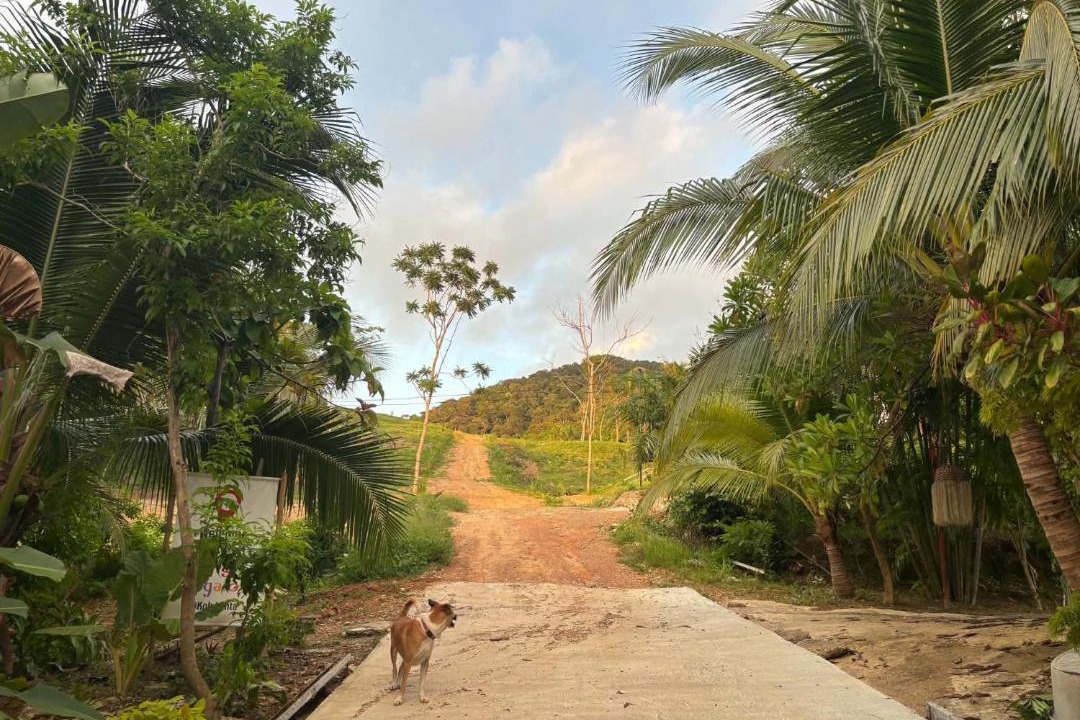Photo of Others in Ko Lanta