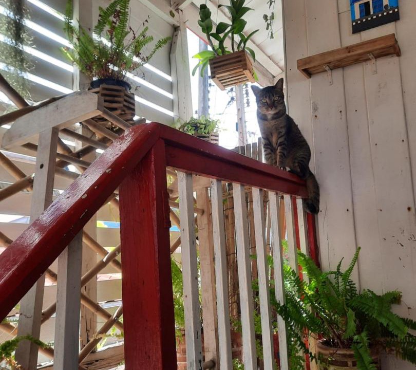 Photo of Others in Prachuap Khiri Khan
