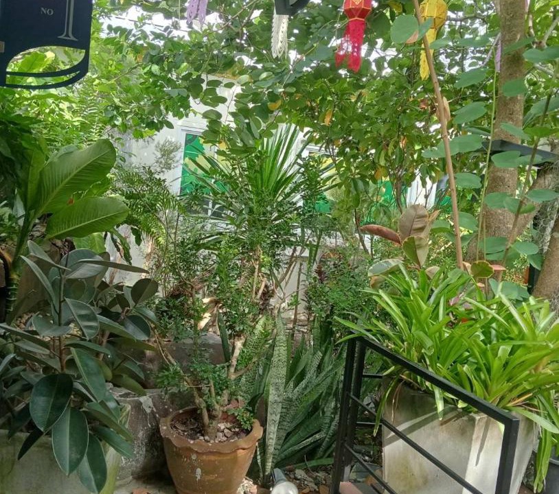 Photo of Others in Khok Pho