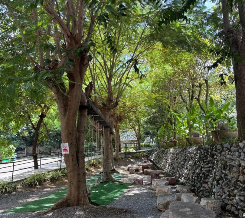 Photo of Others in Nong Nam Daeng