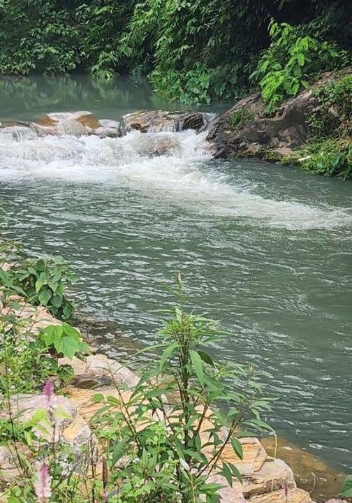 Photo of Others in Khao Yai National Park