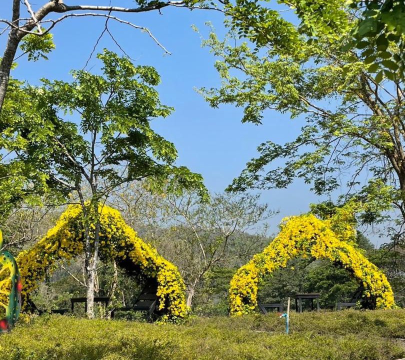Photo of Outdoor in Mae Kon