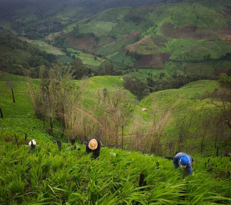 Photo of Others in Mae Chaem