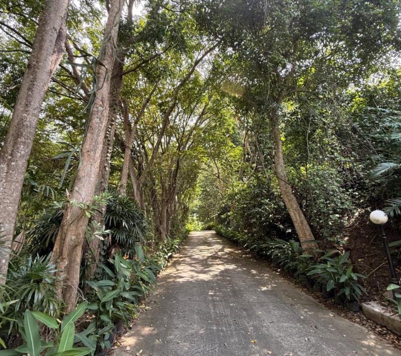 Photo of Outdoor in Soi Dao