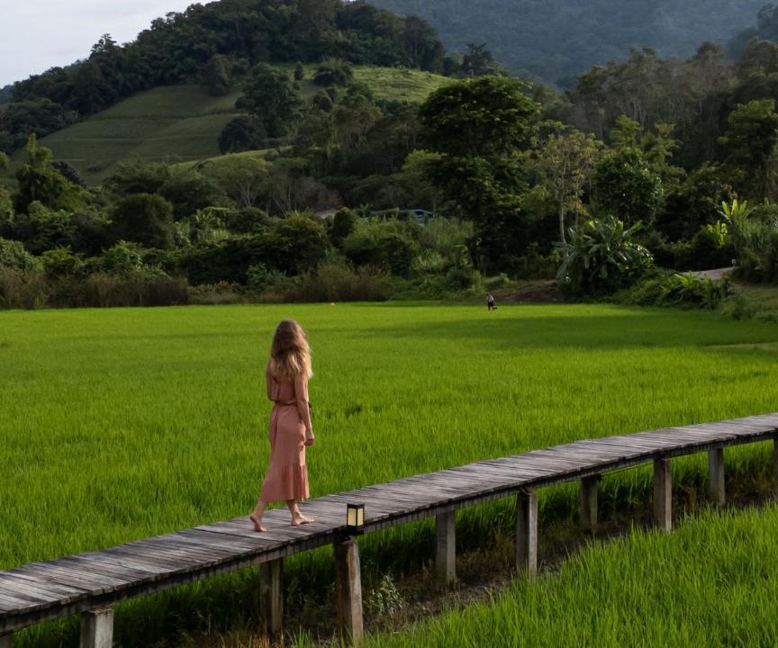 Photo of Others in Ban Ton Lung