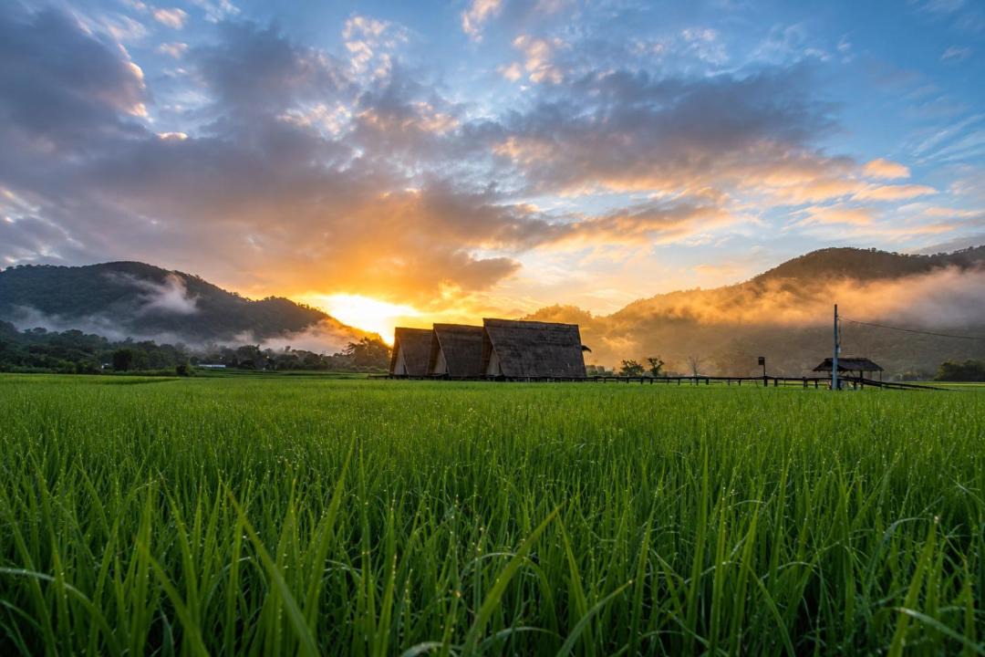 Photo of Others in Ban Ton Lung