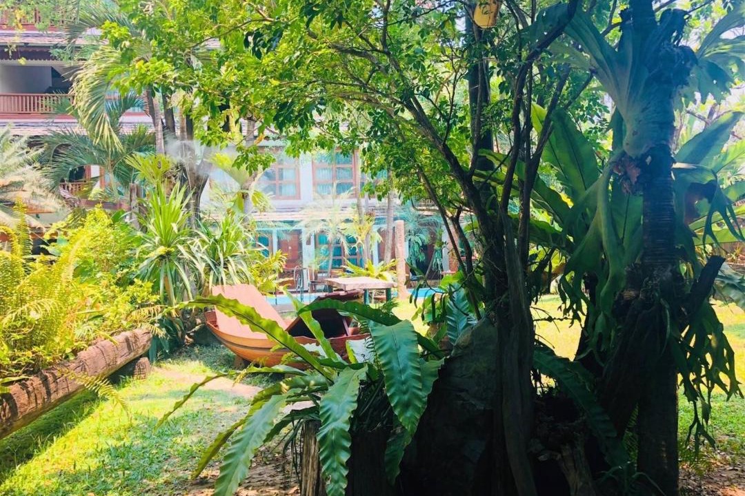 Photo of Others in Chang Phueak