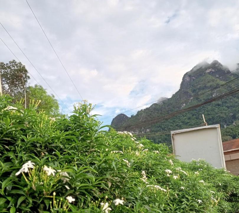 Photo of Others in Nong Khiaw