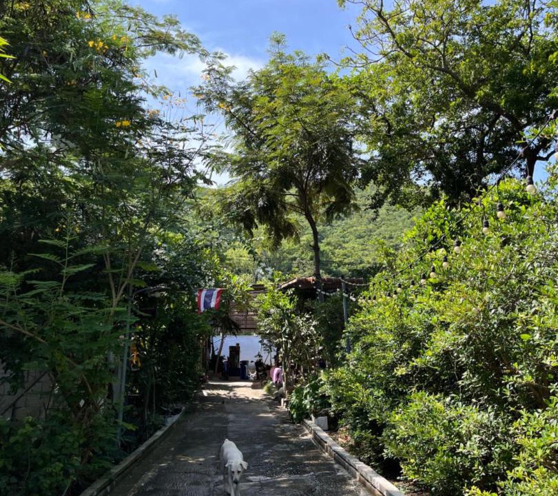 Photo of Others in Koh Lan