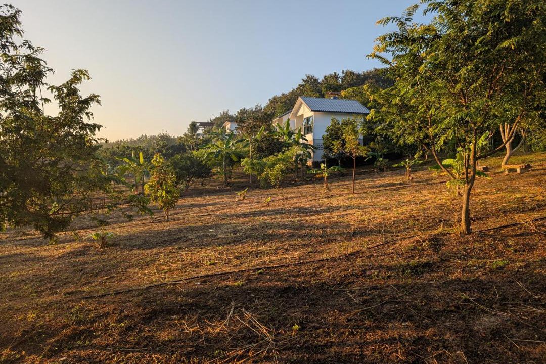 Photo of Others in Loei Province