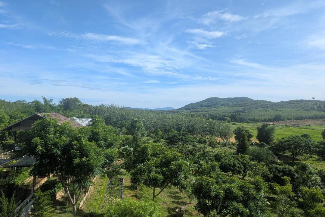 Photo of Others in Loei Province