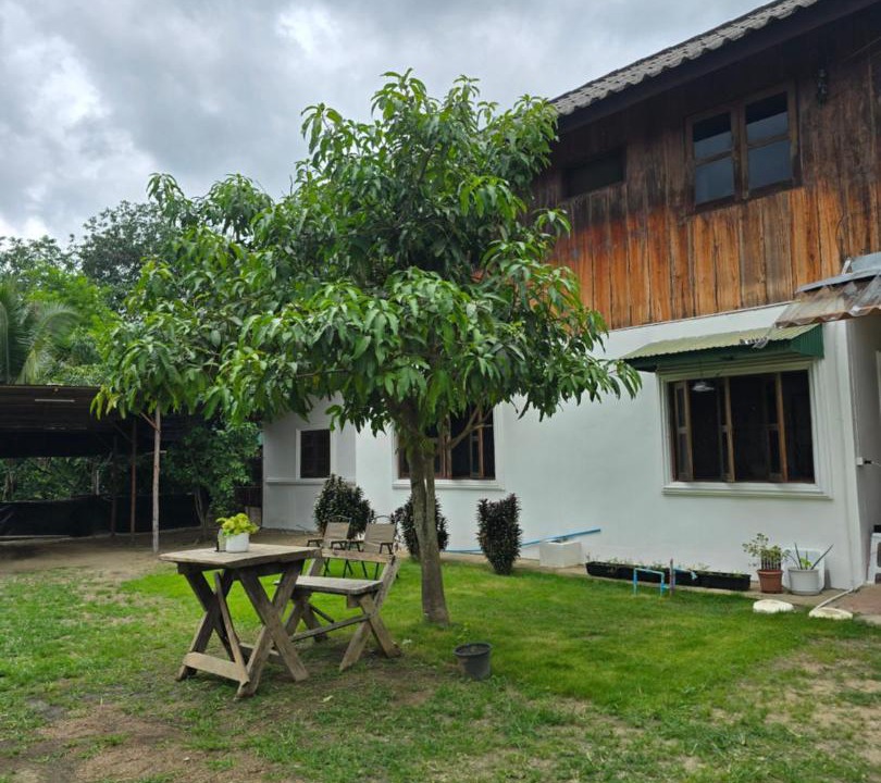 Photo of Others in Pai