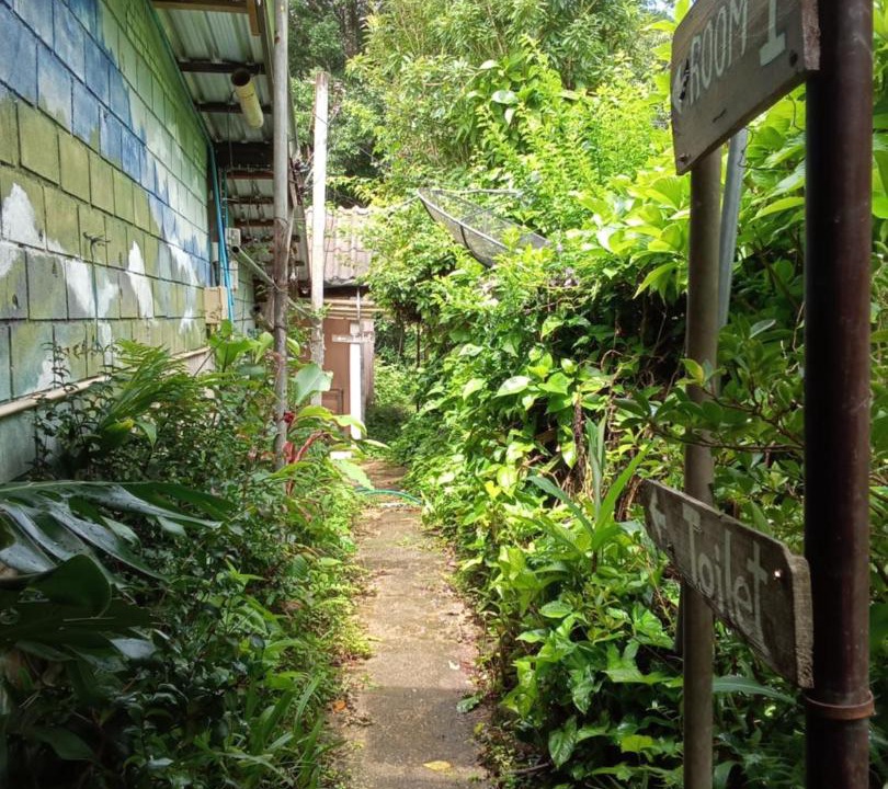 Photo of Others in Chom Thong