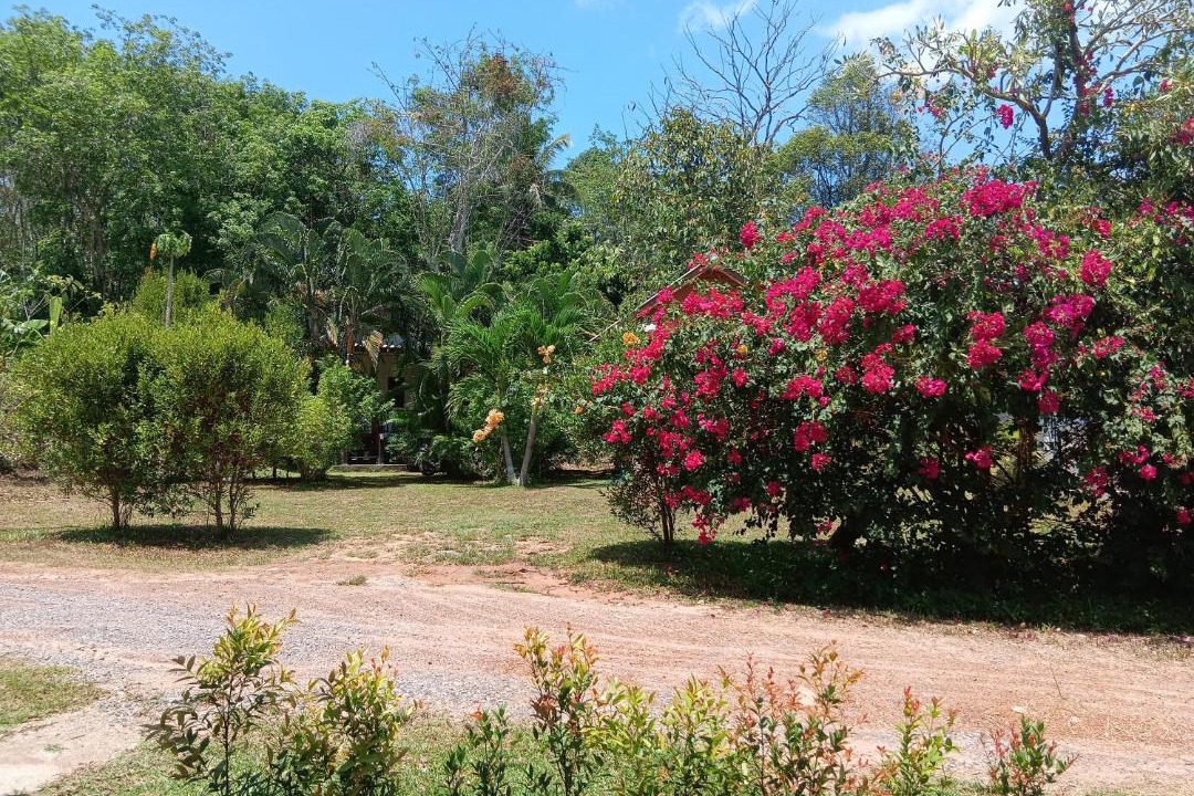 Photo of Others in Ko Yao