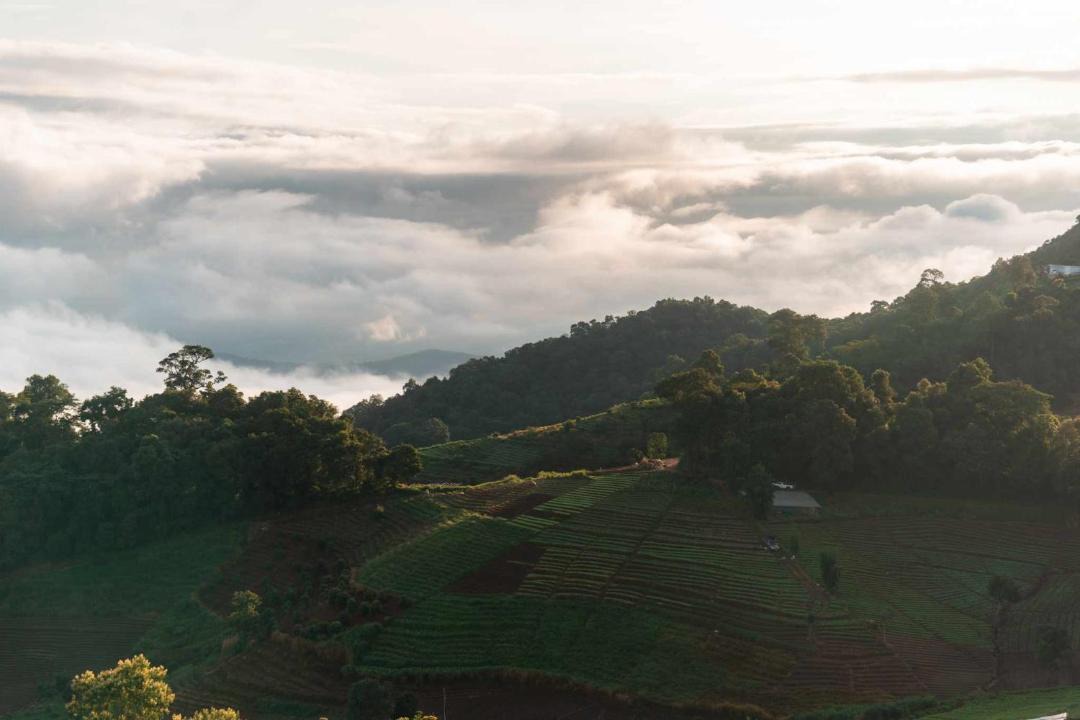 Photo of Others in Mae Rim