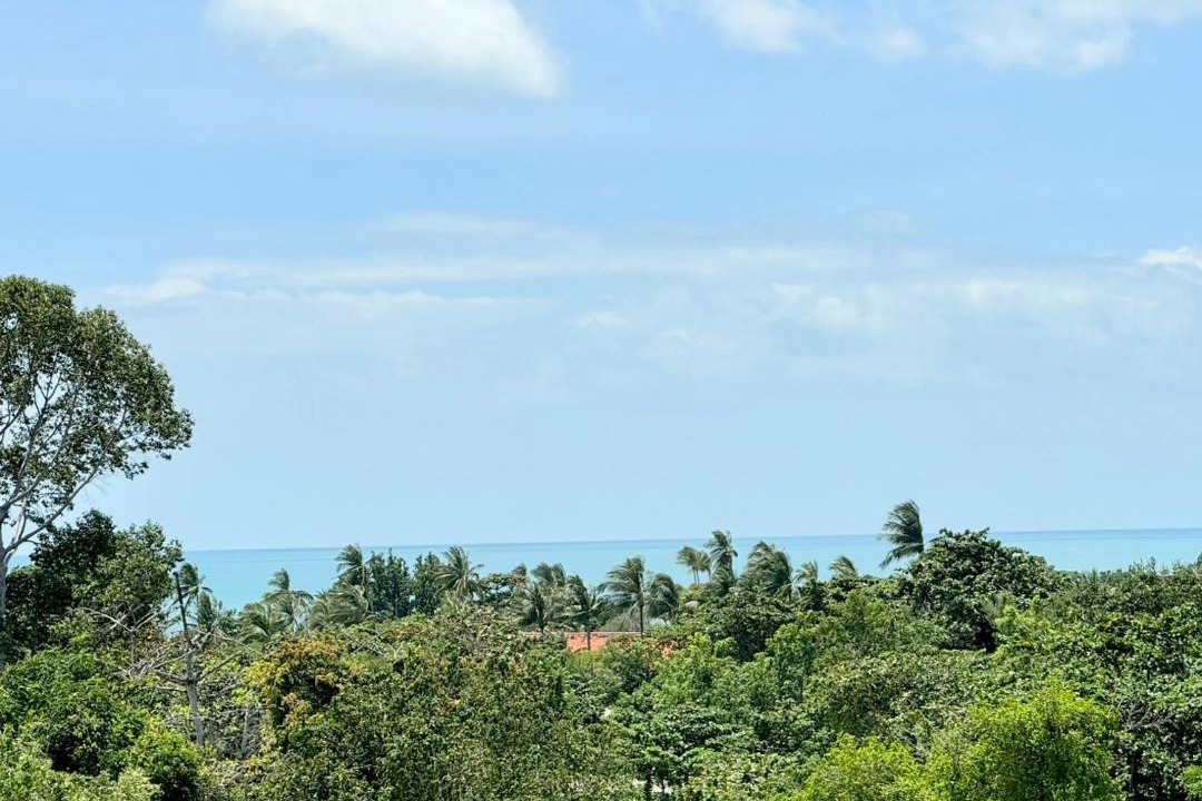 Photo of Others in Bophut Hills