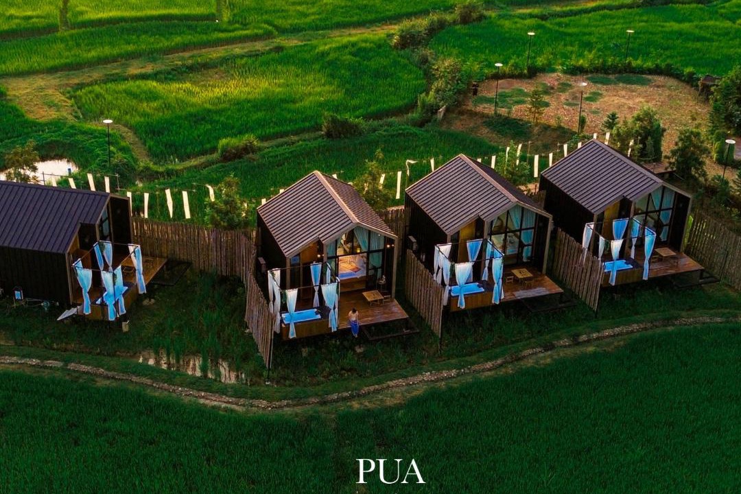 Photo of Others in Pua