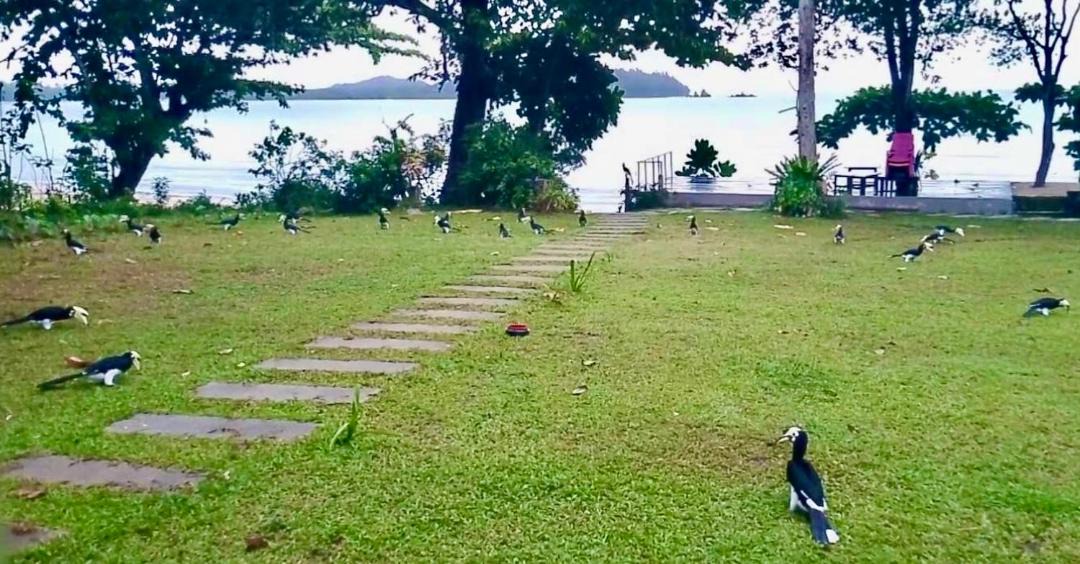 Photo of Others in Ranong
