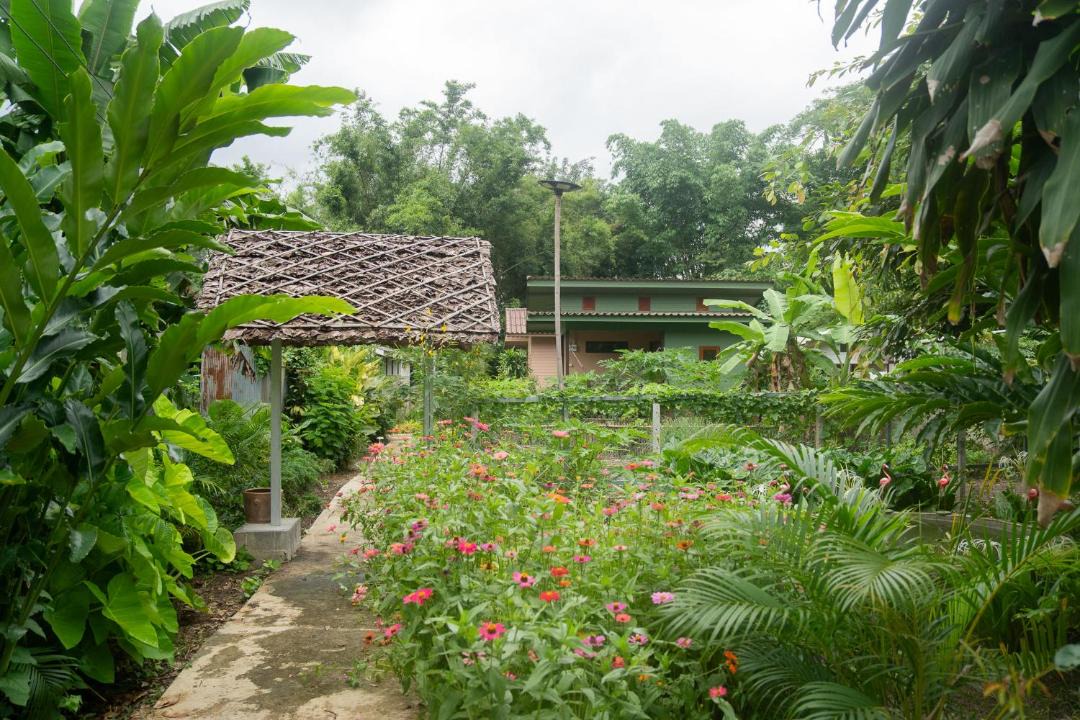 Photo of Others in Pai