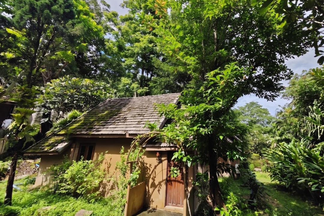 Photo of Others in Pai