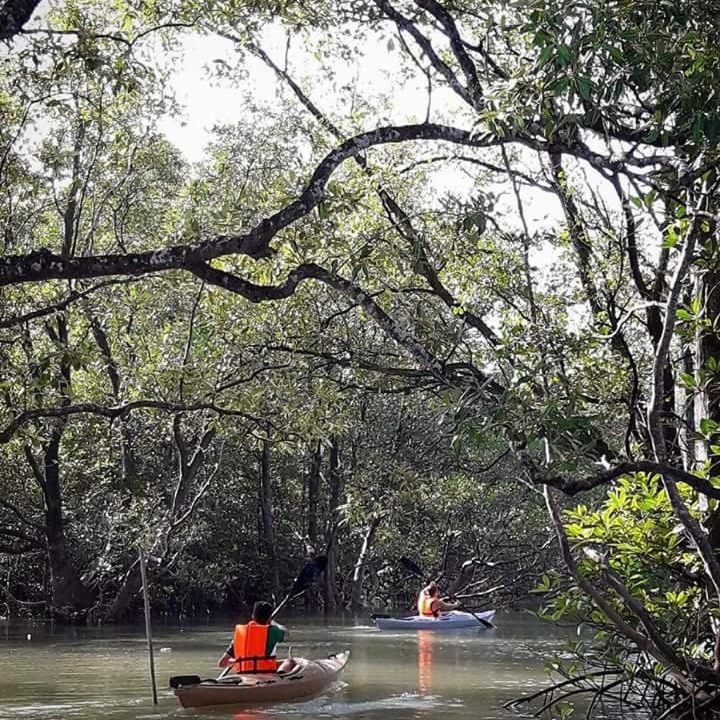 Photo of Others in Phangnga