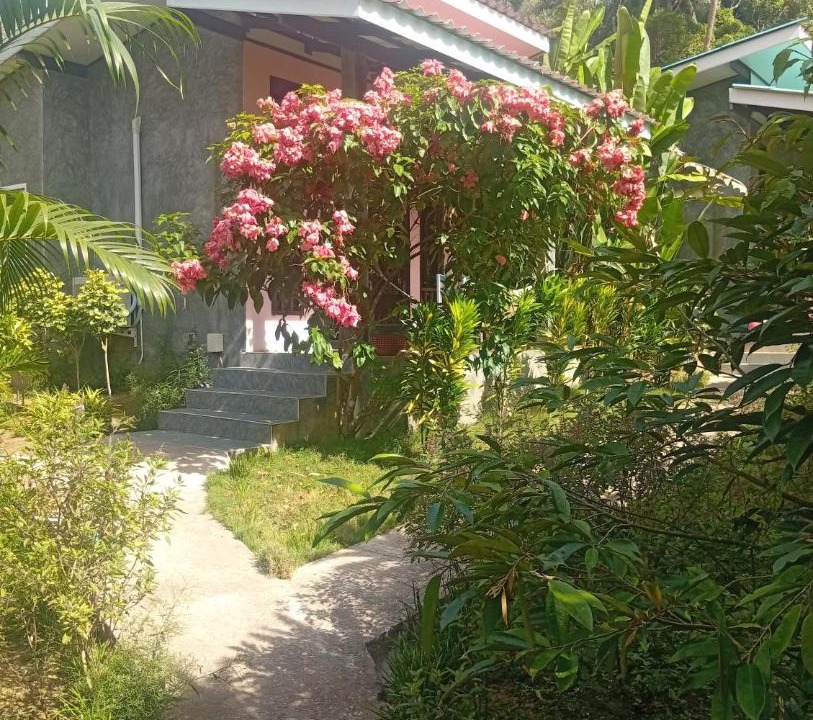 Photo of Others in Ko Kood