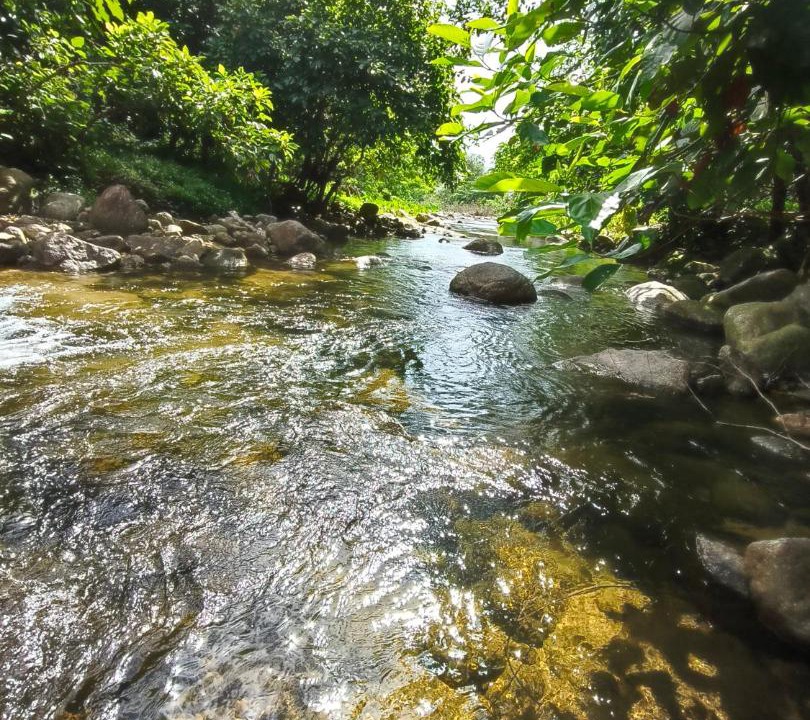 Photo of Others in Phrom Khiri
