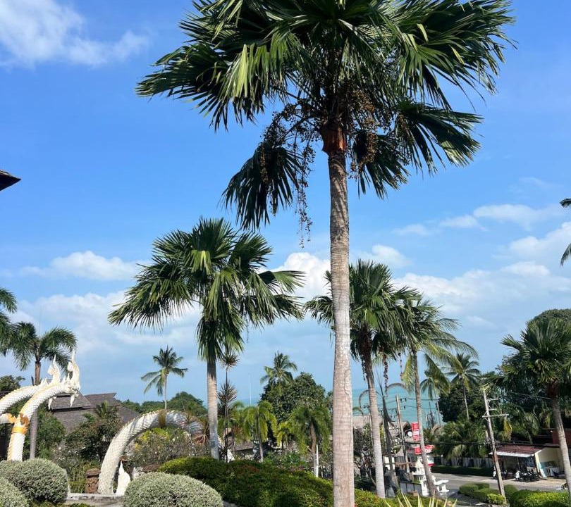 Photo of Outdoor in Plai Laem