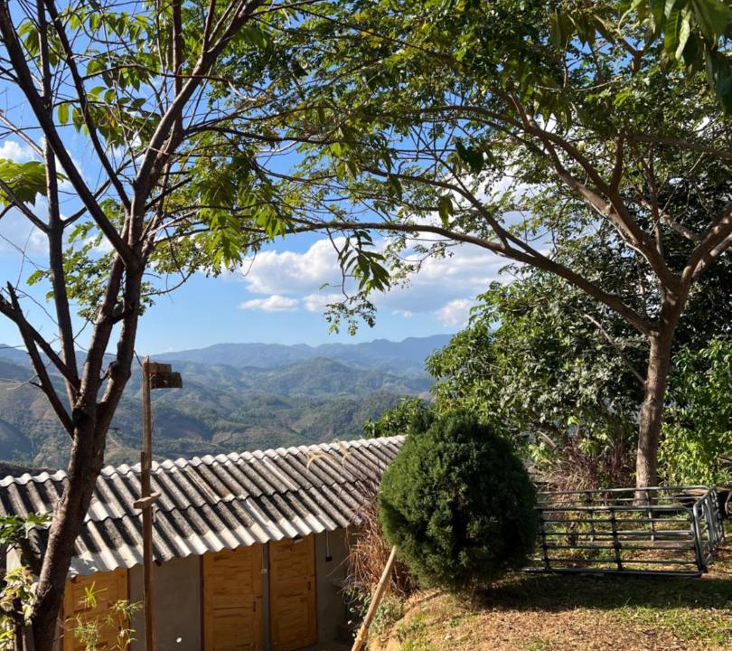 Photo of Others in Chiang Rai Province