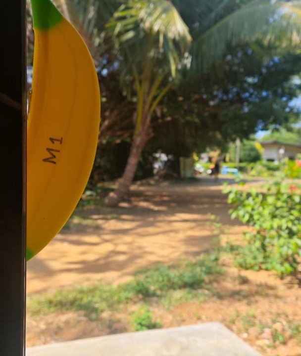 Photo of Others in Ko Mak