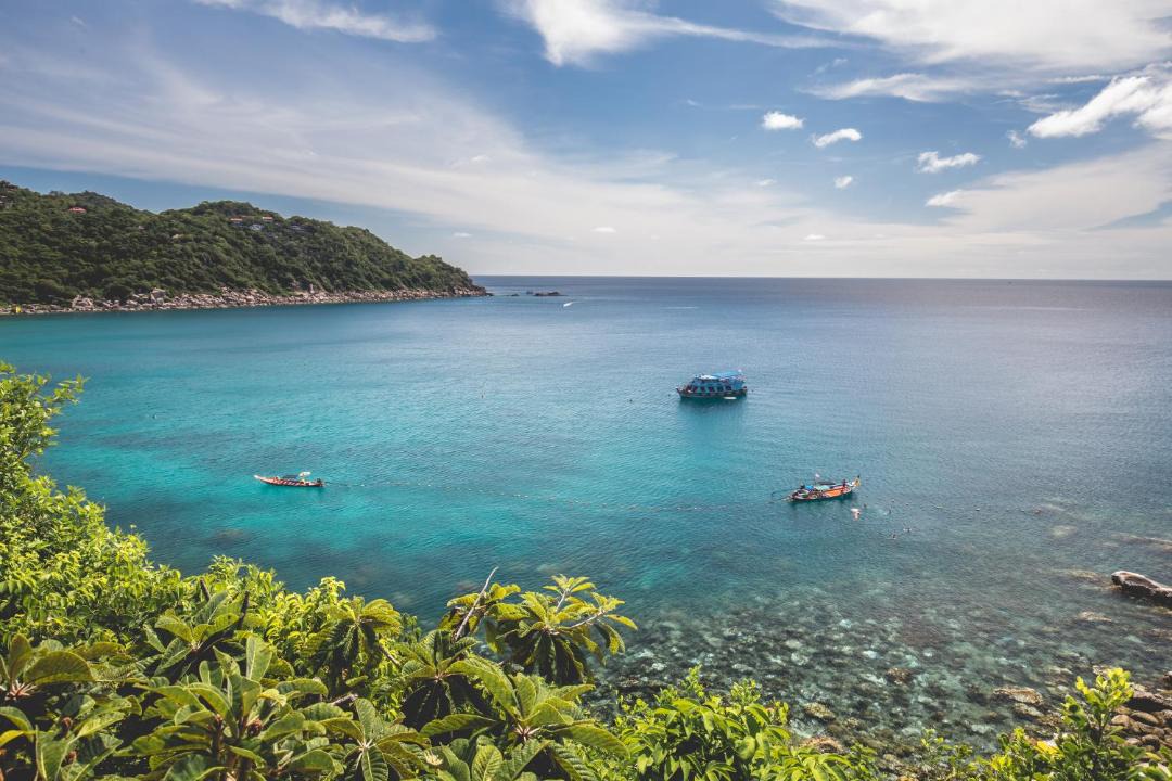 Photo of Others in Koh Tao