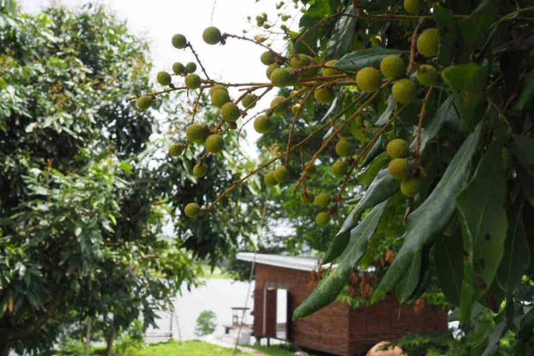 Photo of Others in Ban Mae Ka Hua Thung