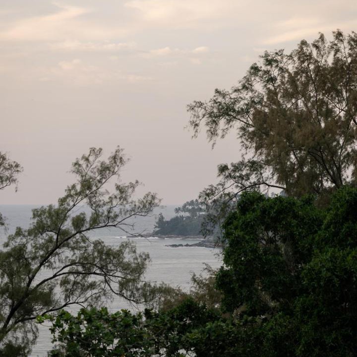 Photo of Others in Cherngtalay