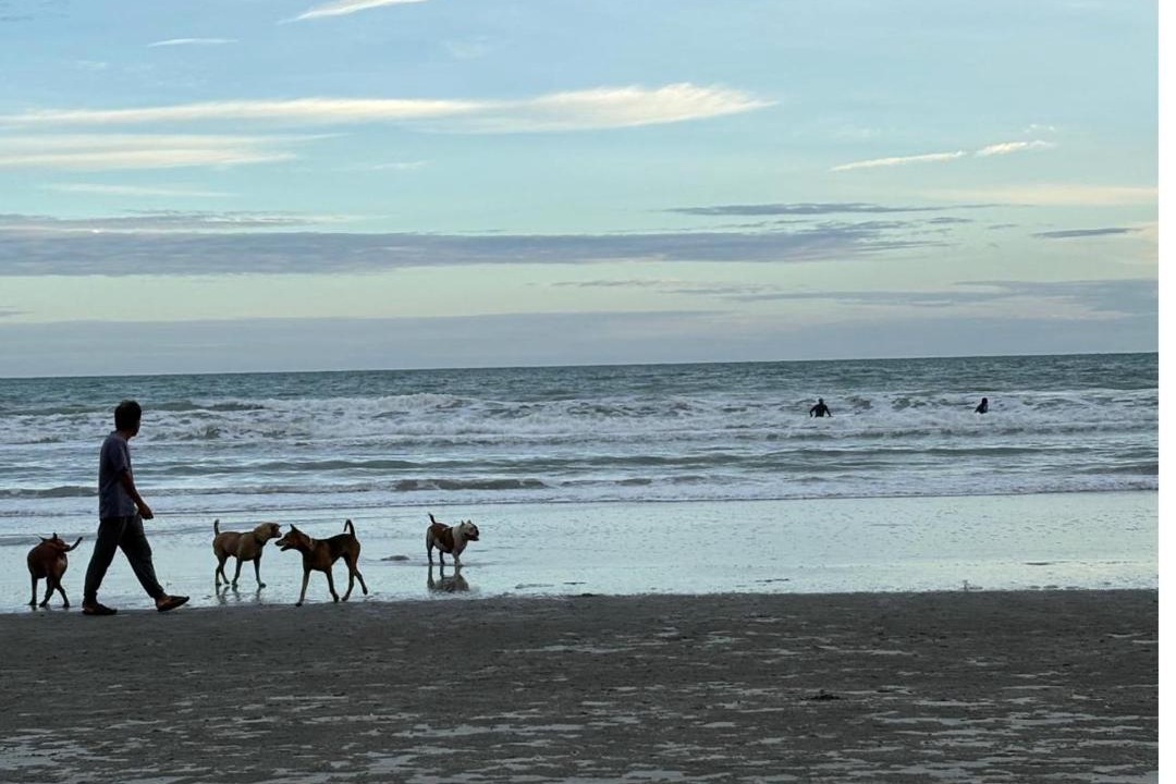 Photo of Others in Rayong