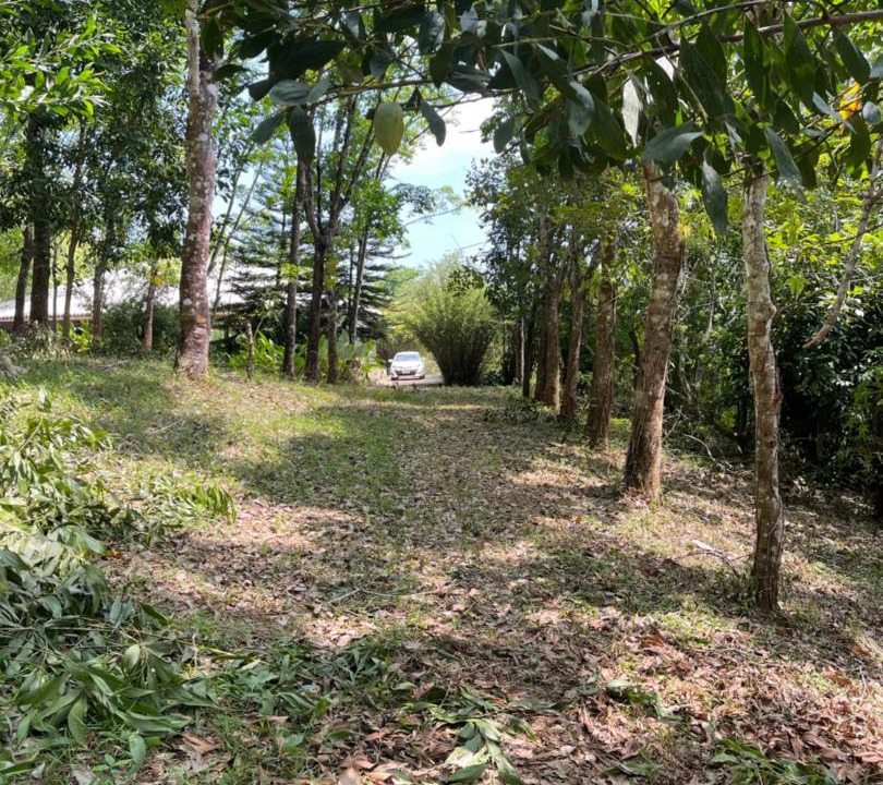 Photo of Outdoor in Khlung