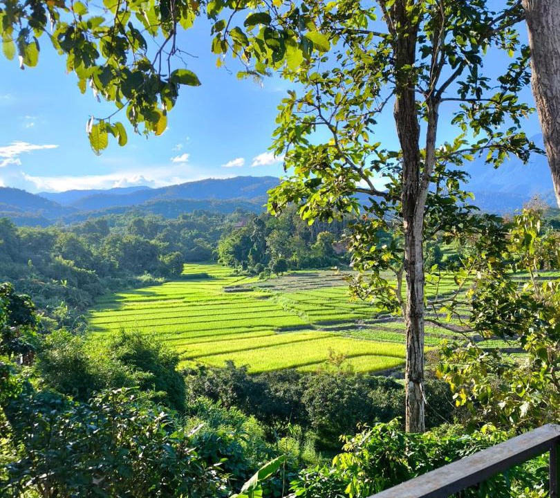 Photo of Others in Chiang Dao