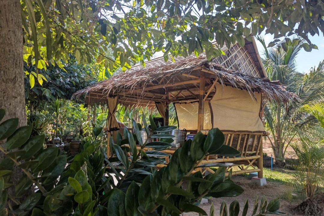 Photo of Others in Thong Krut