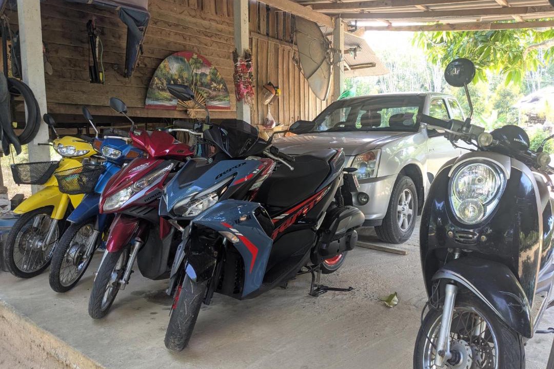 Photo of Others in Thong Krut