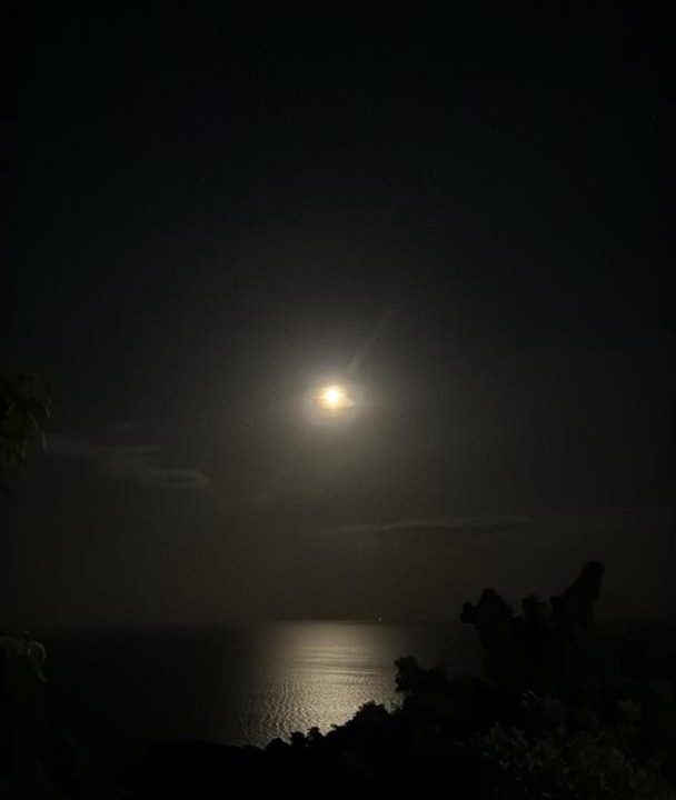 Photo of Others in Koh Tao