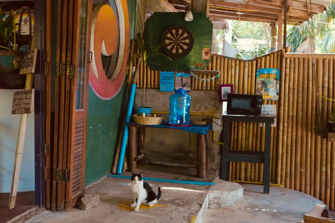 Photo of Others in Koh Tao