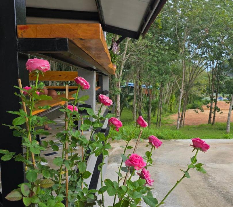 Photo of Others in Nong Thale