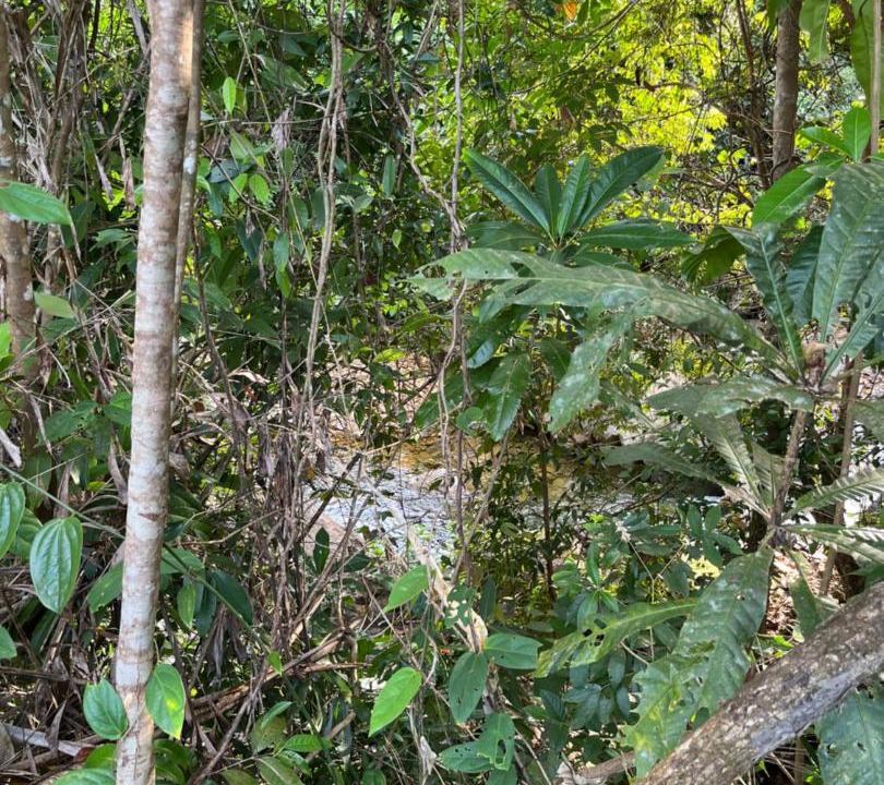 Photo of Others in Ko Chang